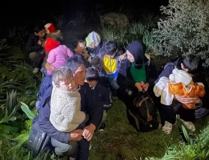 Milas’ta 16 Düzensiz Göçmen Yakalandı