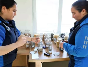 Muğla’dan 81 İle Fiyatsız Lokal Tohum Dağıtımı Başladı