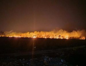 Muhafaza altındaki Göksu Deltası’nda yangın