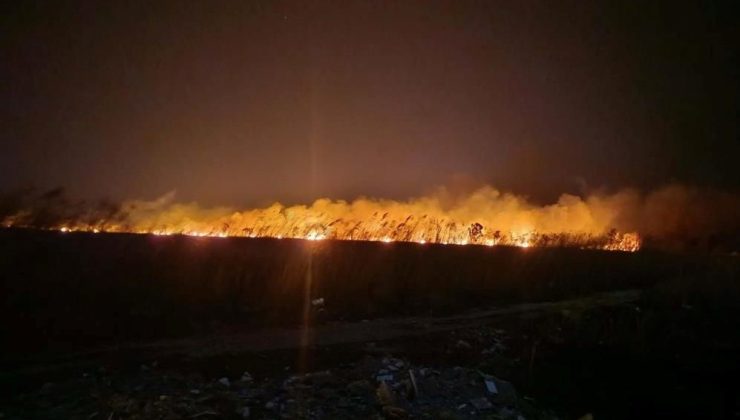 Muhafaza altındaki Göksu Deltası’nda yangın