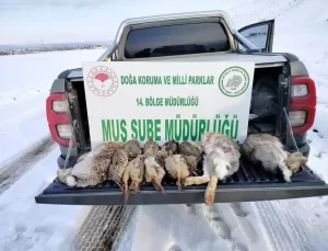 Muş’ta Kaçak Avcılara 90 Bin TL Ceza