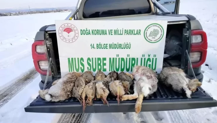 Muş’ta Kaçak Avcılara 90 Bin TL Ceza