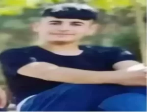 Narin Güran cinayeti; ağabeyi Enes Güran’ın avukatından istinaf başvurusu