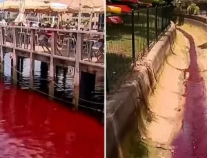 Nehir aniden kırmızıya dönüştü, kimse ne olduğunu anlamadı
