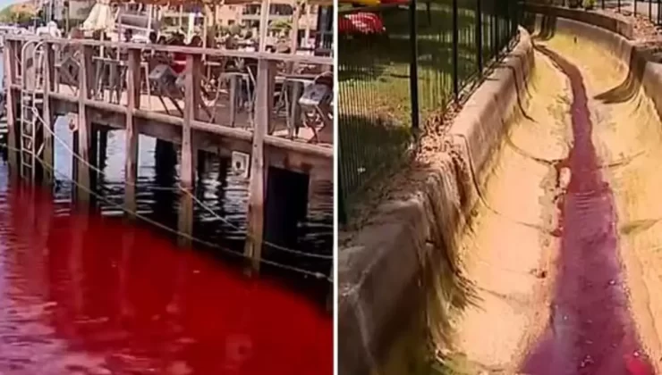Nehir aniden kırmızıya dönüştü, kimse ne olduğunu anlamadı