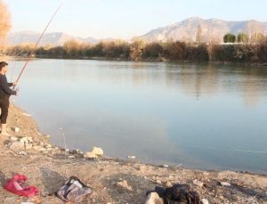 “O balıkları sakın yemeyin!”: Hudut sistemini felç edip, ölümlere neden oluyor