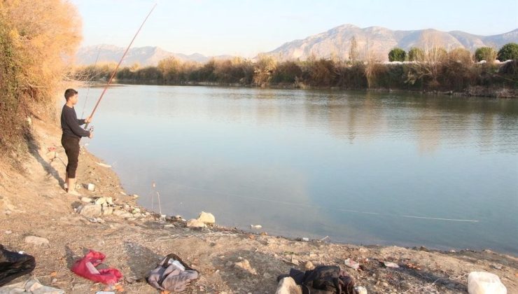 “O balıkları sakın yemeyin!”: Hudut sistemini felç edip, ölümlere neden oluyor