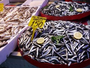 Palamut dönemi sona erdi