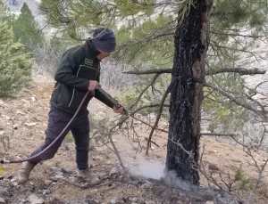 Saimbeyli’de Yangın Söndürüldü