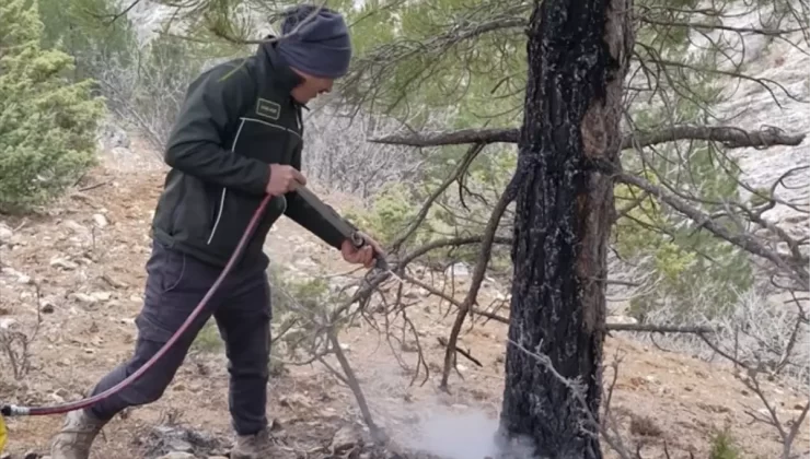 Saimbeyli’de Yangın Söndürüldü