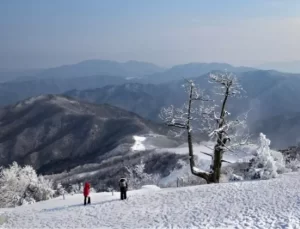 Sakarya okullar tatil mi SON DAKİKA? 5 Şubat Çarşamba Sakarya’da okul yok mu (Sakarya Valiliği Açıklaması – KAR TATİLİ)?