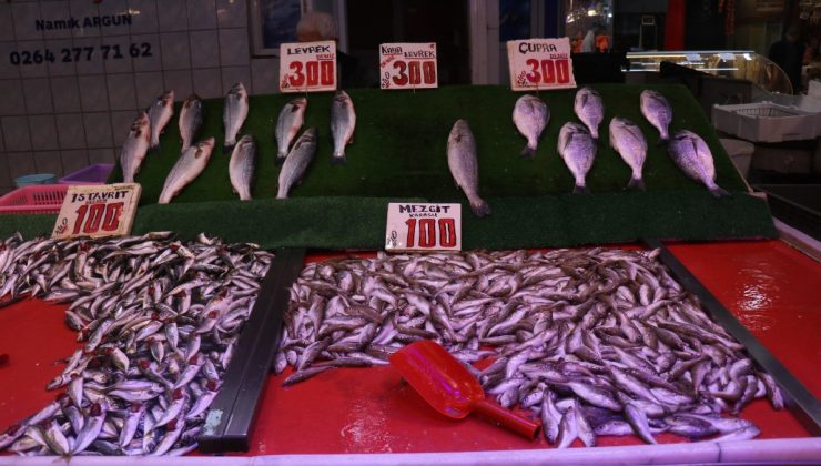 Sakarya’da kilosu 100 liradan satılan istavrit, hamsiyi geride bıraktı