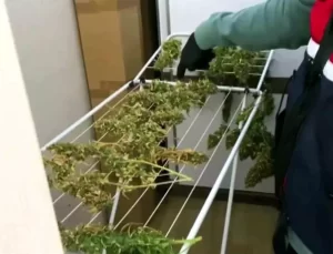 Sakarya’da Uyuşturucu Operasyonu