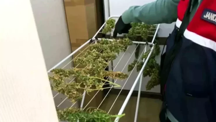 Sakarya’da Uyuşturucu Operasyonu