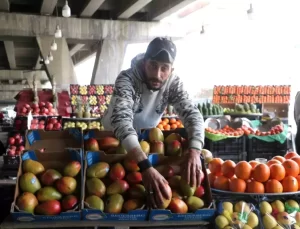 Şam’da İthal Meyve Dönemi Başladı