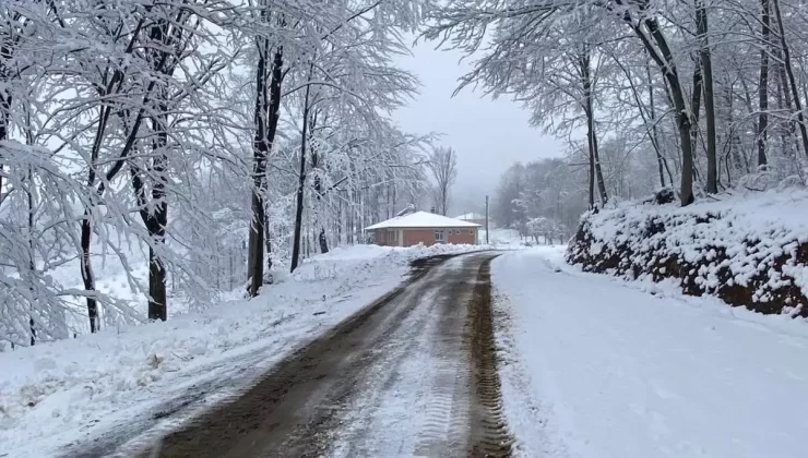 Samsun’da Kar Yağışı Nedeniyle Tüm Okullar Tatil Edildi