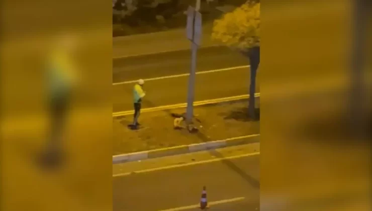 Şanlıurfa’da Otomobilin Çarptığı Yaya Hayatını Kaybetti