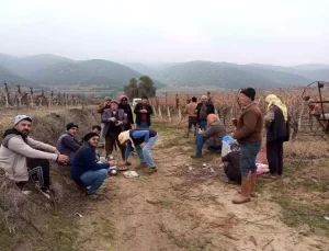 Sarıgöl’de Bahar Havasında Tarım Çalışmaları