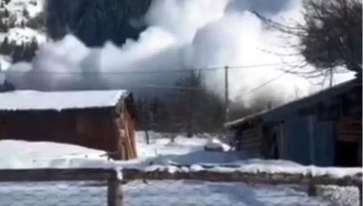 Şavşat’ta Çığ Paniği