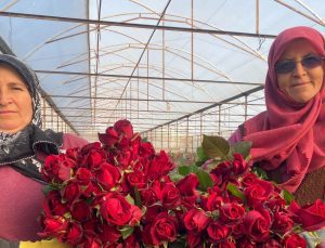 Sevgililer Günü gül üreticisinin yüzünü güldürecek: Demeti 800 TL’den başlıyor