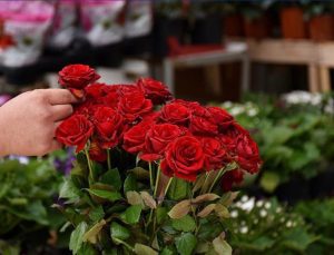 Sevgililer Günü tuzaklarına dikkat