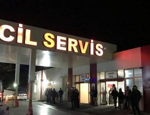 Sıhhat Bakanlığı’ndan sahipsiz köpek adımı