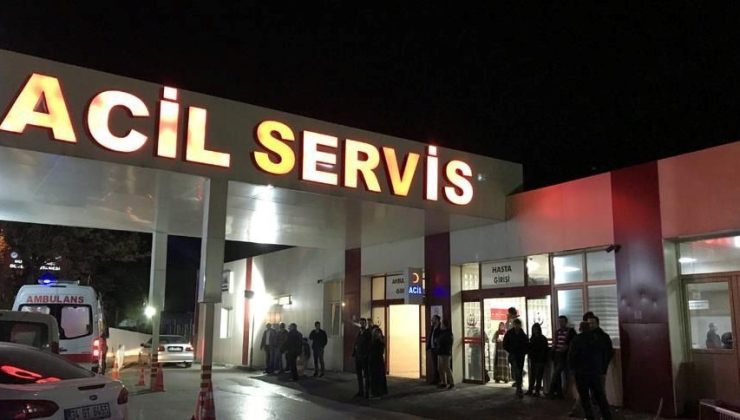 Sıhhat Bakanlığı’ndan sahipsiz köpek adımı