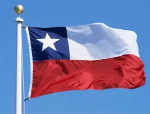 Şili’de Orman Yangınları Nedeniyle Olağanüstü Hal İlan Edildi