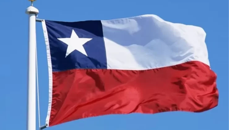 Şili’de Orman Yangınları Nedeniyle Olağanüstü Hal İlan Edildi