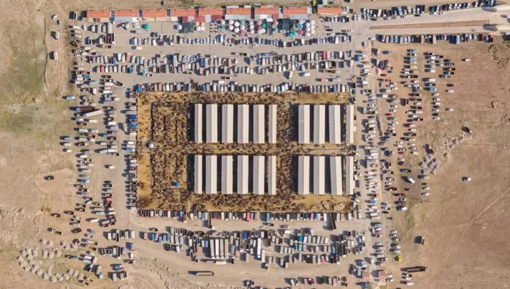 Sivas’taki Hayvan Pazarı Şap Hastalığı Nedeniyle Kapatıldı