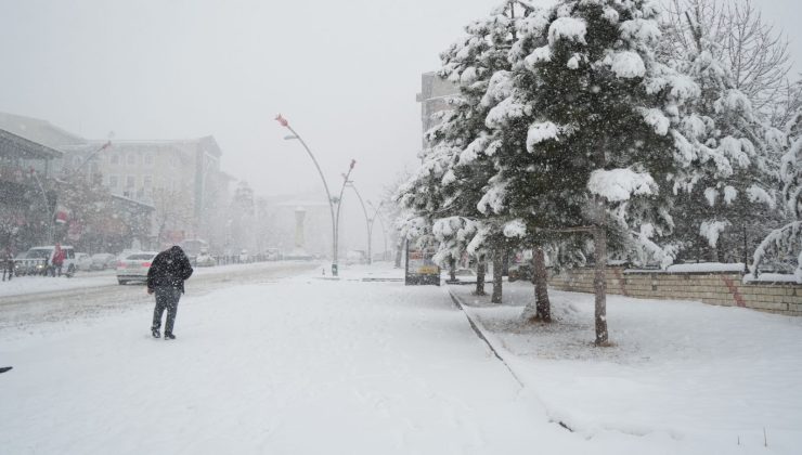 Soğuk hava 10 gün daha etkili! Kar yağışı hangi vilayetlerde tesirli olacak?