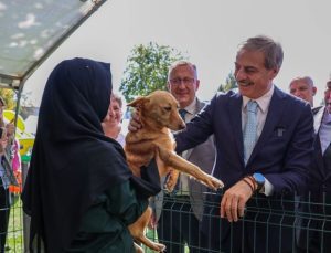 Sokak Hayvanları Doğal Yaşam Kampüsü için ihaleye çıkılıyor