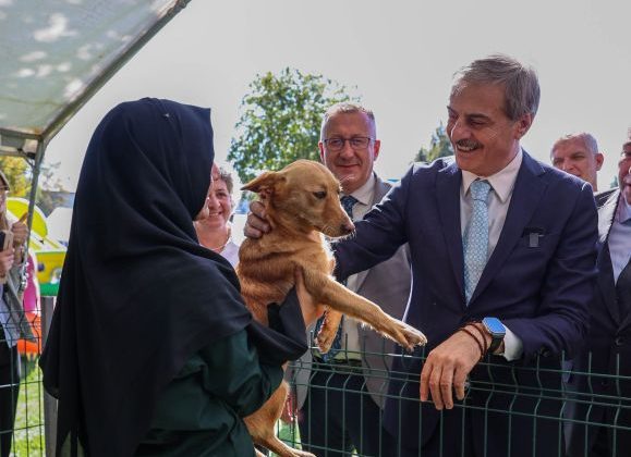 Sokak Hayvanları Doğal Yaşam Kampüsü için ihaleye çıkılıyor