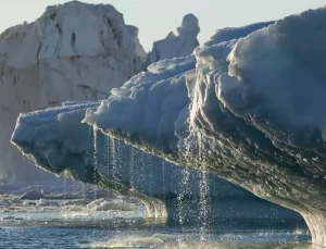Son Buz Bölgesi’nin Yok Olması Daha Erken Gerçekleşebilir