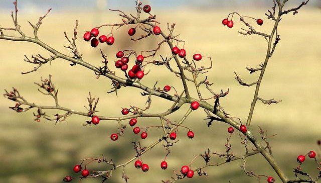 Şubat ayı ile ilgili kelamlar: “Hoşgeldin şubat” iletileri