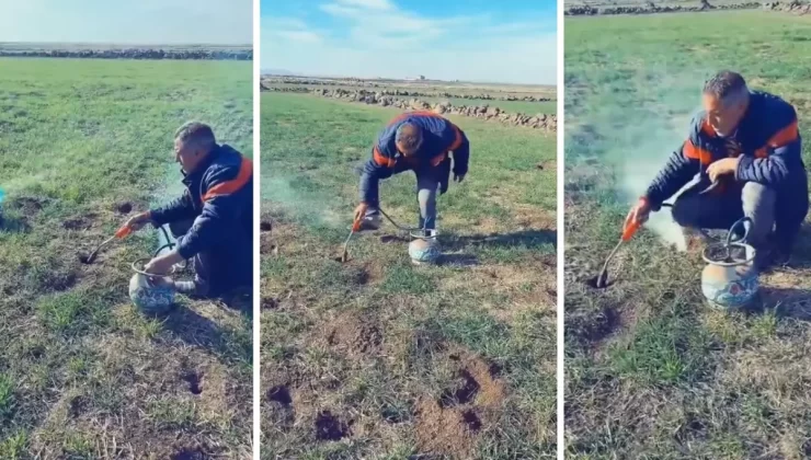 Tarlasındaki farelerden kurtulmak isteyen çiftçinin metodu tartışma yarattı