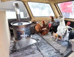 Tavuklar için otomobilde soba