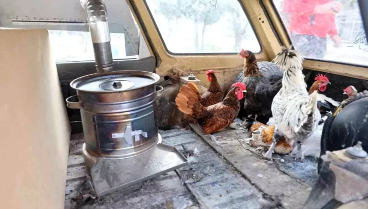 Tavuklar için otomobilde soba