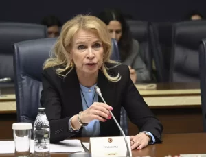 TBMM’de AGİT PA Heyeti ile Görüşme