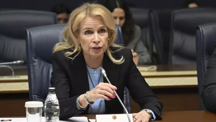 TBMM’de AGİT PA Heyeti ile Görüşme