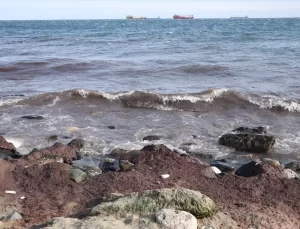 Tekirdağ Sahilinde Kırmızı Yosun Birikti