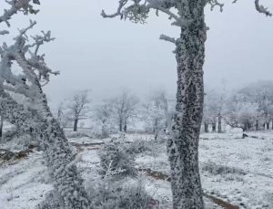 Tekirdağ’ın yüksek bölümleri beyaza büründü
