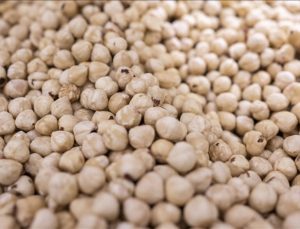 Ticaret borsalarında 447 bin tonu aşkın fındık süreç gördü