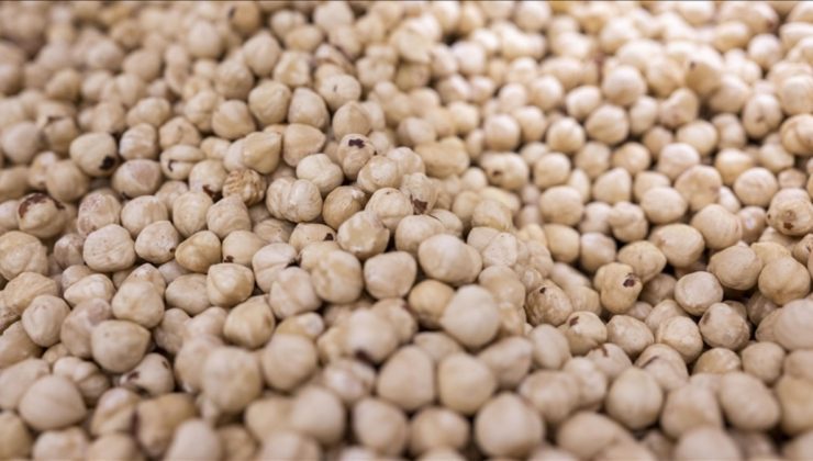 Ticaret borsalarında 447 bin tonu aşkın fındık süreç gördü