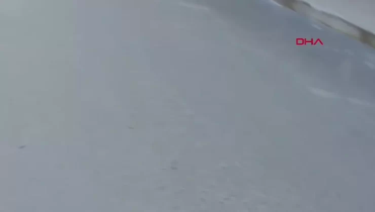 Tokat’ta Trafik Tartışması Kavgaya Dönüştü