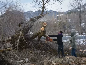 Tokat’tan kısa kısa