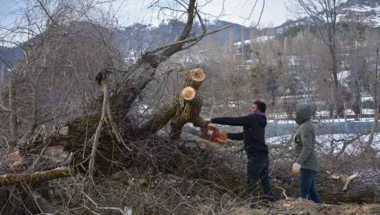 Tokat’tan kısa kısa