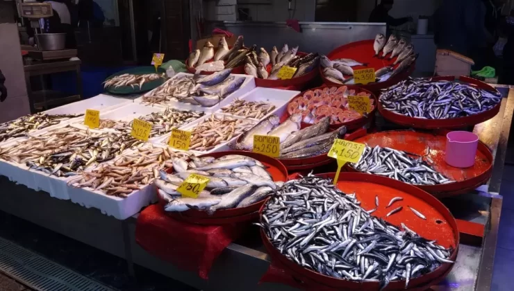 Trabzon Balık Tezgahlarında Çeşitlilik, Palamut Bölümü Son Buldu