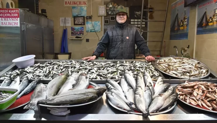 Trabzon’da Balık Fiyatları Artıyor