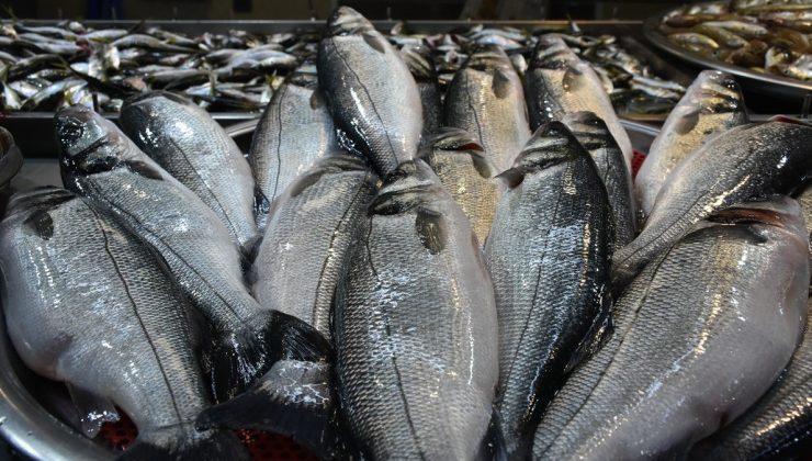 Trabzon’da hava muhalefeti balık fiyatlarını yükseltti